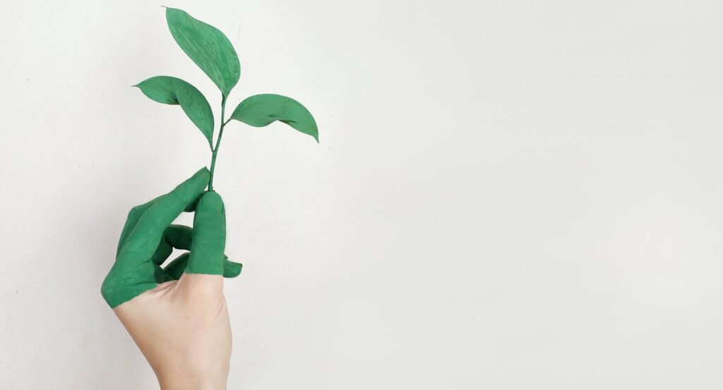 An image representing sustainable fashion