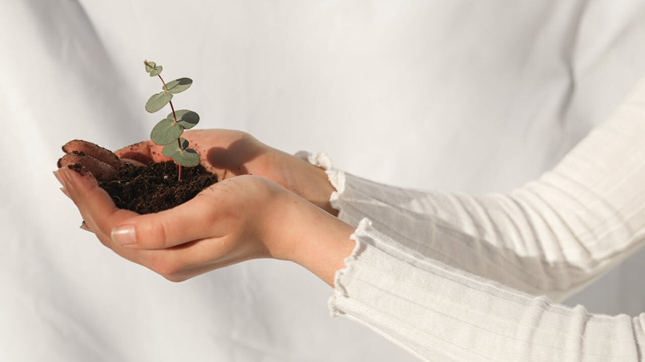 ramie eco-friendly fabric