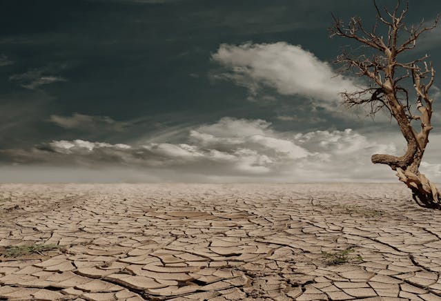 drought area with low humidity