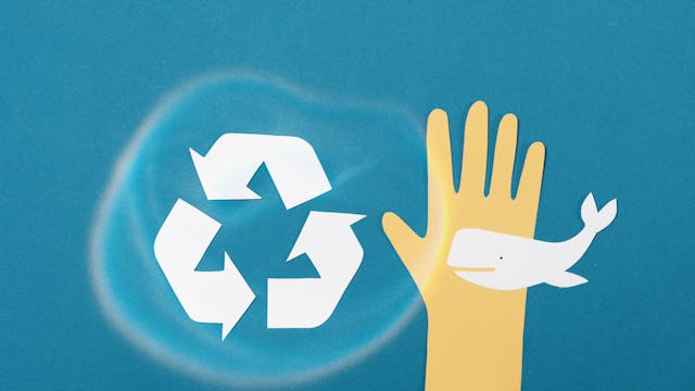 reduce plastic waste to protect whales