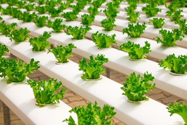 precision agriculture